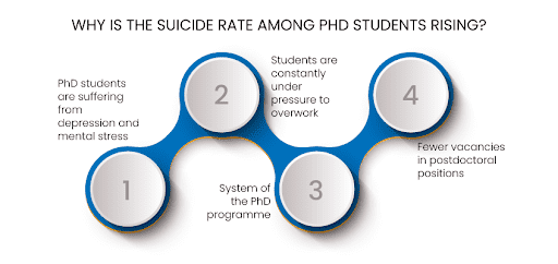 suicide rate among PhD students rising