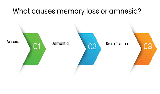 Memory and memory loss