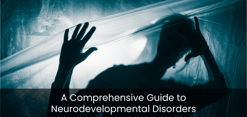 A Comprehensive Guide to Neurodevelopment Disorders